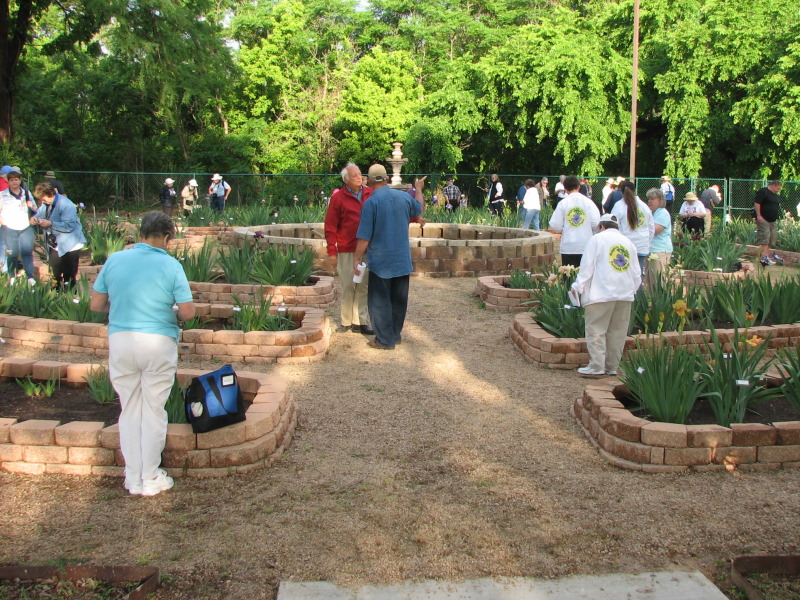 Lee Schroeder and Tom Burseen discuss the irises in the San Marcos Tourist Information Center Garden